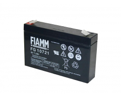 Аккумулятор Fiamm FG10721