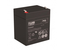 Аккумулятор Fiamm FG20451