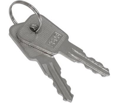 Ключ - выключатель: SK25-03A key